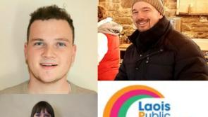 Laois groups get invaluable tips on tapping into EU funds