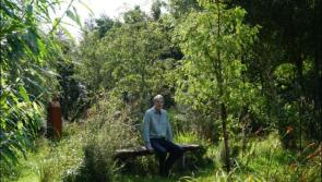 Falcarragh gardens feature in online exhibition starting today


