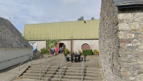 Participants sought for living sculpture charity event in Kilkenny - come support too!