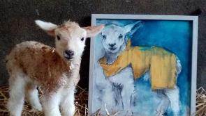 Will 'ewe' look at this! Adorable painting  by Kilkenny artist to be raffled for Red Cross
