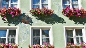 'Keep the country looking its best' - 2022 TidyTowns competition for Waterford launched