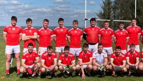 Historic new jersey for a prominent Kilkenny club