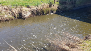 Mid Ulster slurry pollution incident was 'self-reported'