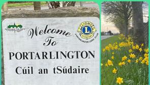 Laois Offaly town embarks on monster clean up 
