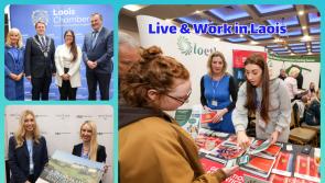 In Pictures: Laois Jobs Fair returns to Portlaoise and proves a great success