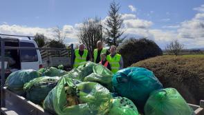 Domhan Glas & Holycross Tidy Village thank the community after a successful spring clean