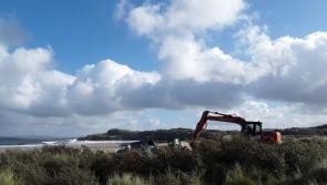 Authority removes invasive species from Dunes