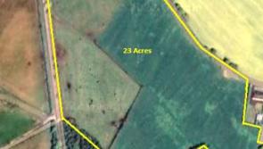 Bidding war as farmland near Offaly border sells for whopping price per acre