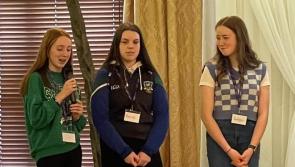 Offaly members elected to Reference Panel at Foroige Regional Conference