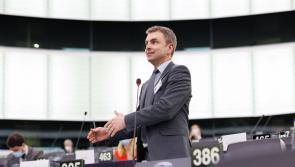 The EU needs to prepare for the prospect of a united Ireland, Louth TD told conference