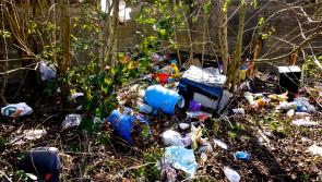 Offaly canal clean-up exposes horrific illegal dumping 