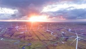 Bord na Móna pipeline to deliver its sustainable energy vision 