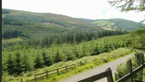 Get out and explore with Roscrea Trailblazers