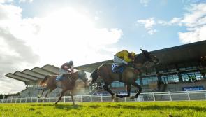 IRISH GRAND NATIONAL TIPS: Three horses worth a bet in the Fairyhouse showpiece 