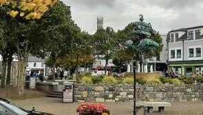 Expressions of interest now open for groups in Carlow under Our Rural Future 