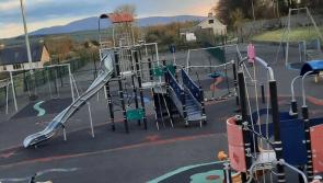 Funding needed to save Killenaule Playground