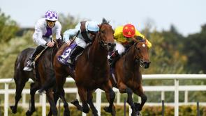 RACING: Tips for Thursday's card at Tipperary 