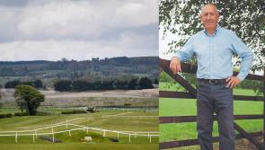 'I had the bug for racing from a very young age' - Clerk of Punchestown recalls a life in racing 