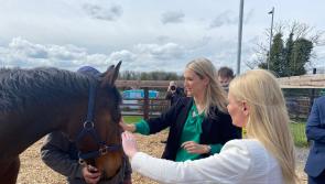 Irish Prison Service opens new horse centre for prisoners