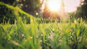 IRELAND WEATHER: Mostly dry today with some light rain expected in places