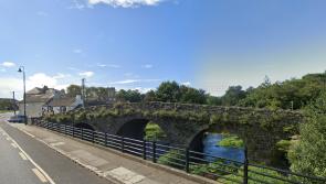 No money in the 2022 pot to clean landmark Laois bridge