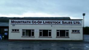 Talks on possible reopening of Laois mart but insurance still an issue