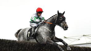 PUNCHESTOWN RESULTS: Did your horse win on Day 1 (Tuesday) of Punchestown 2022?