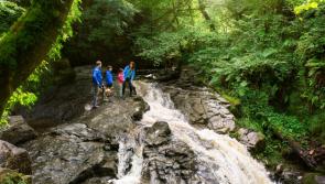 Slieve Bloom Walking Festival on this May Bank Holiday weekend