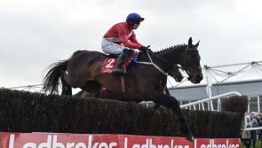 PUNCHESTOWN TIPS: All the best bets for Day 3 at Punchestown - Thursday, April 28