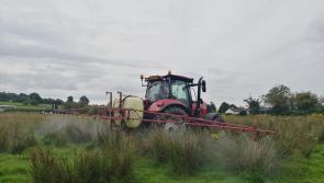 One pesticide exceedance in Leitrim drinking water supply in 2021