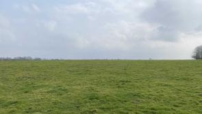 Five Limerick farms set to hit the market