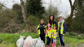 In Pictures: Limerick village 'spotless' after community comes together for Team Limerick Clean-Up