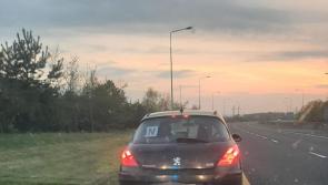 Gardaí in Kilkenny left speechless by novice driver