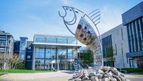 ATU Sligo hosts it's first on campus Open Day as a university this Saturday 