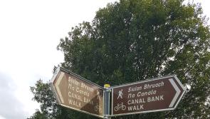 Leitrim Walkways must look good for tourist season