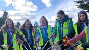 Over 100 Louth groups joined the National Spring Clean 2022