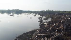 Nolan says rewetting plans an example of &ldquo;an unstoppable force meeting an immovable object&rdquo; 