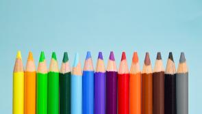 New South Tipperary Art Group session for junior members