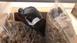 Man arrested and €21,750 drugs seized in Leitrim operation