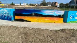 New murals on display in outdoor performance space in Waterford