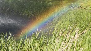 Column: Changing our language to turn the tide on homophobia and transphobia