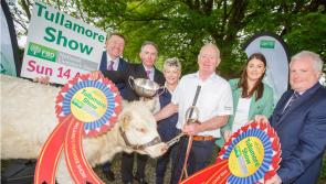 Massive prize fund for this year's Tullamore Show and FBD National Livestock Show
