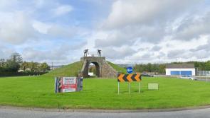 Garda appeal after Lexus involved in collision is abandoned 