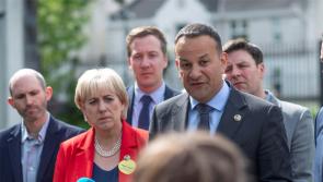 Fine Gael's 'bold ambition' for rural Ireland outlined at Offaly conference