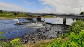 Gardaí and PSNI join forces in border drugs bust



