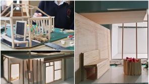 Laois Transition Year students feature in national architecture exhibition
