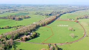 'Dublin Lodge' in the Rockingham Estate comes onto the market 