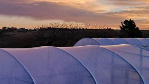 Cill Ulta Glasshouse Redevelopment launch today in Falcarragh


