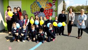 259 Ukrainian pupils currently enrolled in Donegal schools

