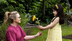 Sunflower Day to support North Louth Hospice 